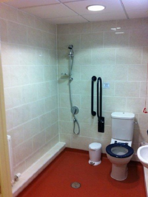 Ground Floor Accessible Toilet image